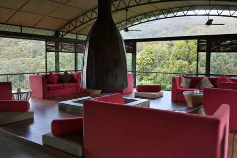 Rainforest Eco Lodge in Rainforest Ecolodge — foto 18