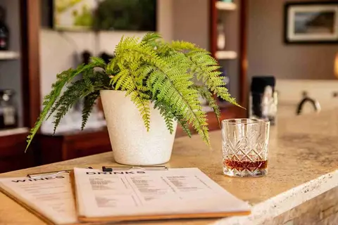 Bayside Boutique Hotel Curacao in restaurant pictures — foto 27