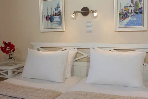 Hotel Erato Mykonos in Mykonos, foto 20