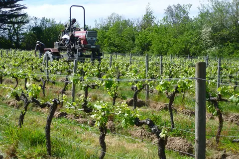 Camping Le Bois De La Gachère foto 27