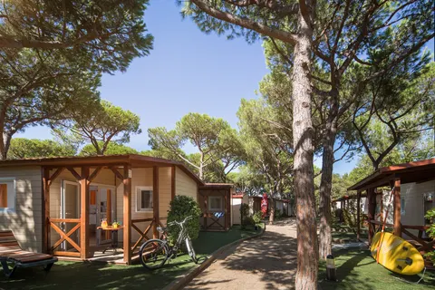 Camping Bella Terra foto 17