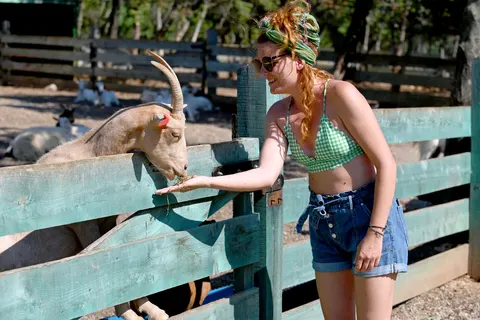 Camping Omišalj foto 21