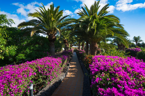 Hotel Relaxia Olivina foto 9