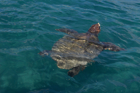 Hotel Mediterranean Beach Resort & Spa foto 9