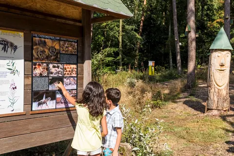 Vakantiepark Sonnenberg foto 10