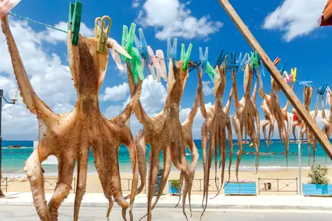 Kreta op het gemak in Griekse eilanden — foto 20