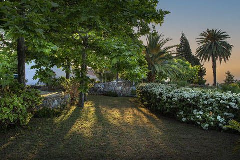 Olival de Sao Filipe foto 15