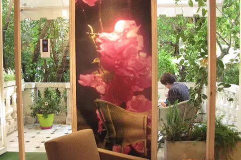 Le Windsor, Jungle Art Hotel in Nice, foto 11