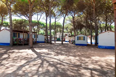 Pineta Sul Mare Camping Village in Cesenatico — foto 4