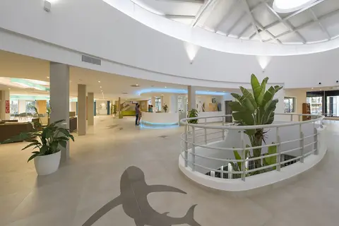 Marvell Club Hotel & Apartments in Sant Antoni de Portmany — foto 17