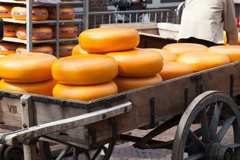 College Hotel Alkmaar foto 17