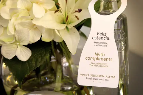 Vincci Selección Aleysa in Benalmadena — foto 11