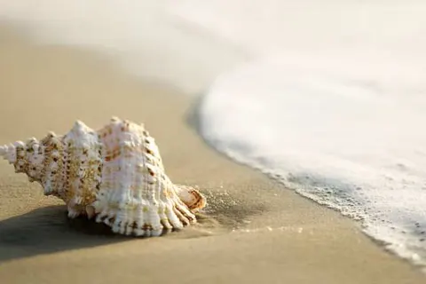 Hotel Bloemfontein foto 19