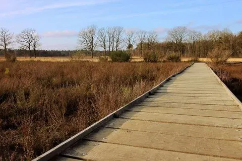 Hotel Mastbosch Breda foto 21