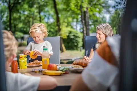 Vakantiepark De Rimboe en De Woeste Hoogte foto 42