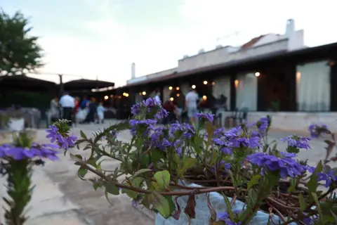 Masseria Alberotanza in Conversano, foto 24