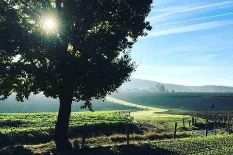 Hotel Gulpenerland foto 20