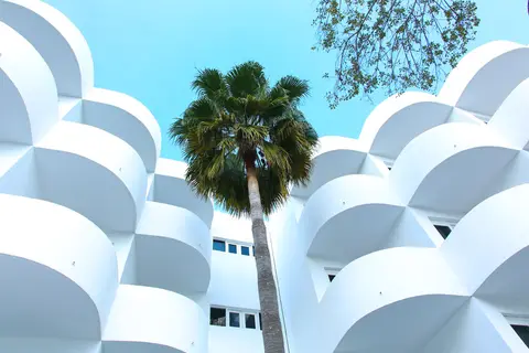 Sentido Fido Tucan in Santanyí — foto 11