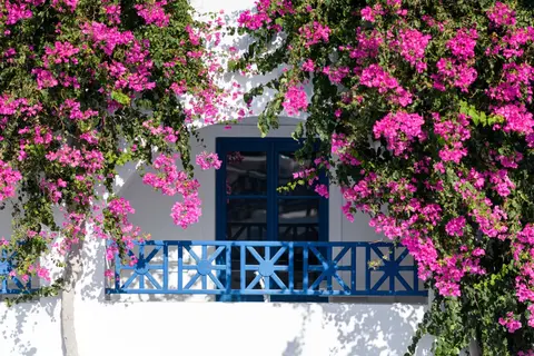 Hotel Veggera in Thira Municipal Unit — foto 13