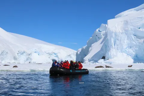 A taste of Antarctica foto 4