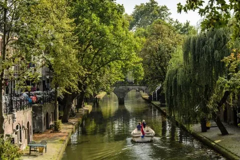 Carlton President foto 35