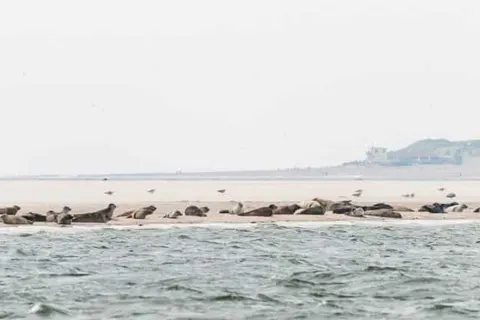 Hotel Waddengenot in Pieterburen — foto 6