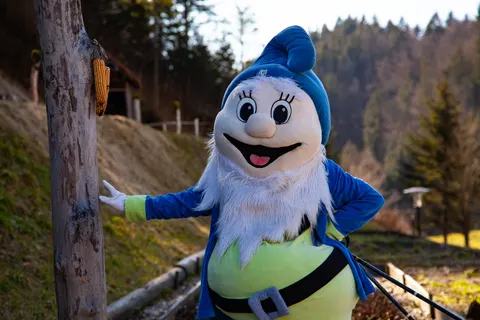 Vakantiepark Terme Snovik in Kamnik — foto 12