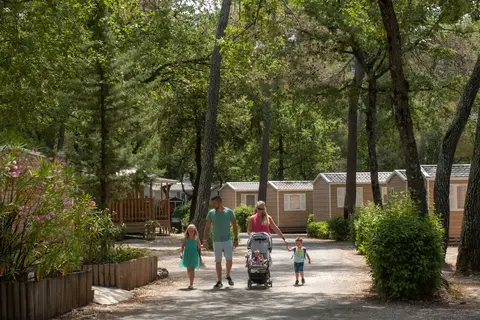Domaine De La Sainte Baume in Nans-les-Pins — foto 20