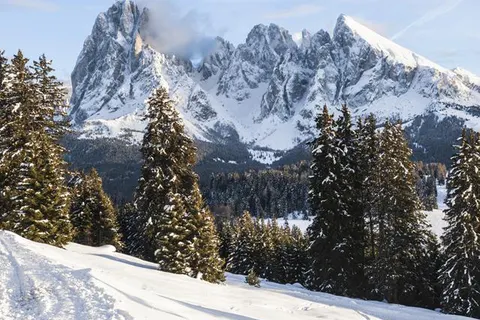 Hotel Seiser Alm Urthaler foto 12