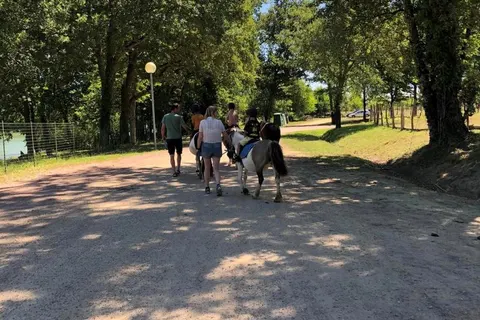 Camping Les Lacs D Armagnac foto 10