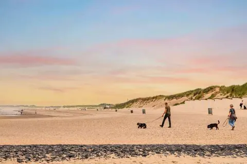 Dormio Strand Resort Nieuwvliet-Bad foto 35