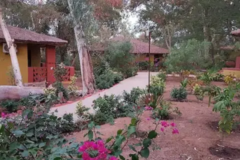 Hôtel Les Bougainvillées Saly in Saly — foto 14
