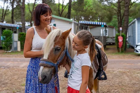 Camping L Estanquet foto 4