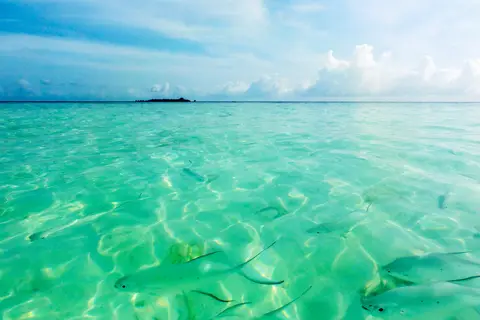 Fihalhohi Maldives in Fihalhohi, foto 16