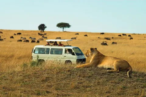 16 daagse safari The Mombasa Rendez Vous foto 2