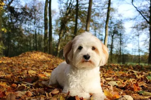 Landgoed Ruwinkel foto 30