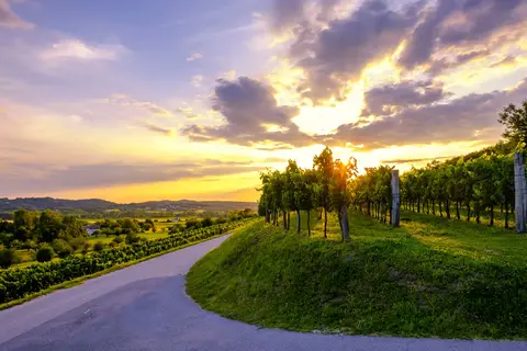 Ontdek Oost-Slovenië in Slovenië — foto 13
