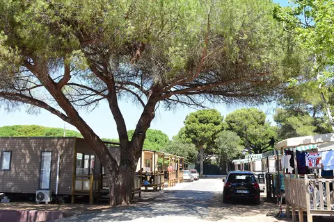 Camping Le Méditerranée in Hyères — foto 11