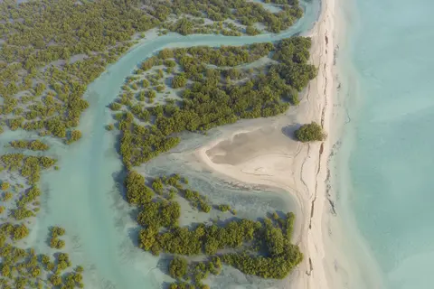 Desert Islands Resort & Spa by Anantara in صير بني ياس — foto 25