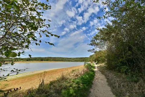 Camping Château La Forêt in Saint-Julien-des-Landes — foto 15
