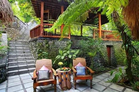 Nandini Jungle Resort & Spa in Payangan — foto 19