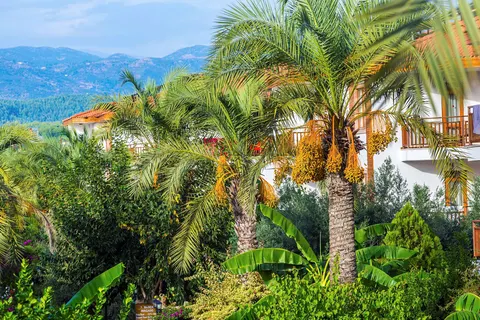 Hotel Eftalia Village in Alanya — foto 19