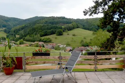 Hotel Landgasthof zum Pflug foto 8