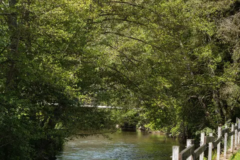 Hameau De L Ourthe in Houffalize — foto 27