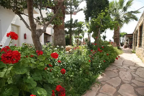 Classic Apartments in Δημοτική Ενότητα Χερσονήσου — foto 15