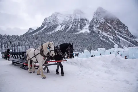 Winterbelevenis Canada op het gemak in Ottawa, foto 8