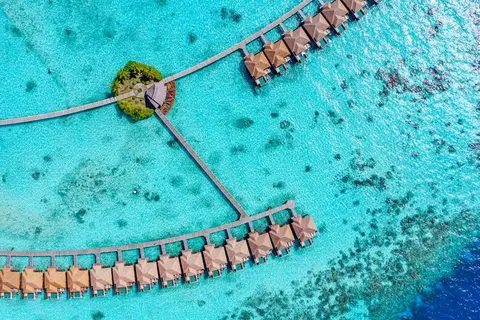 Ayada Maldives in ތިނަދޫ — foto 25