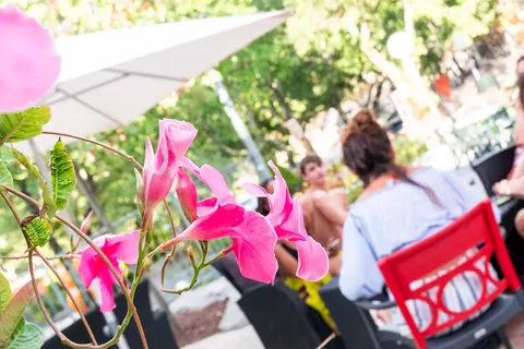 Camping Aluna Vacances foto 20