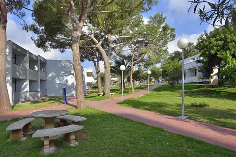 AluaSun Cala Antena in Manacor — foto 28