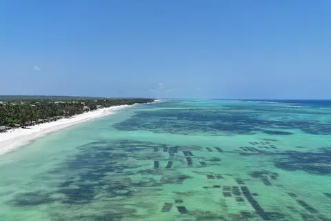 Bluebay Beach Resort and Spa in Kiwengwa — foto 18
